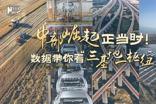 中甲综述：石家庄功夫平辽宁沈阳城市 广西平果哈嘹被副班长逼平